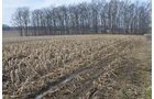 Property photo 23 - 98+/- Acres Offered in 6 Tracts or Combinations, Noble County, Indiana Farm